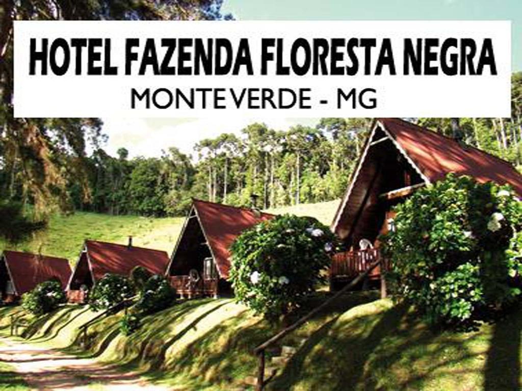 מונטה ורדה Hotel Fazenda Floresta Negra מראה חיצוני תמונה
