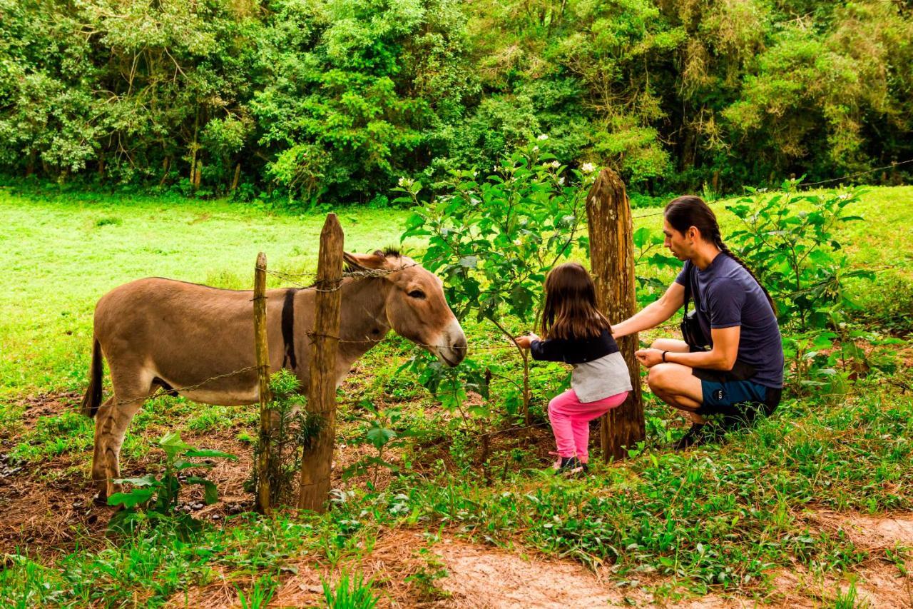 מונטה ורדה Hotel Fazenda Floresta Negra מראה חיצוני תמונה