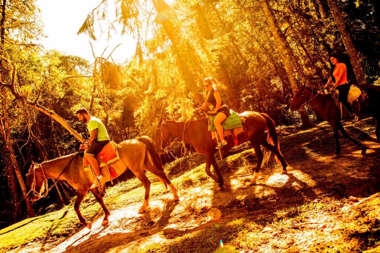 מונטה ורדה Hotel Fazenda Floresta Negra מראה חיצוני תמונה