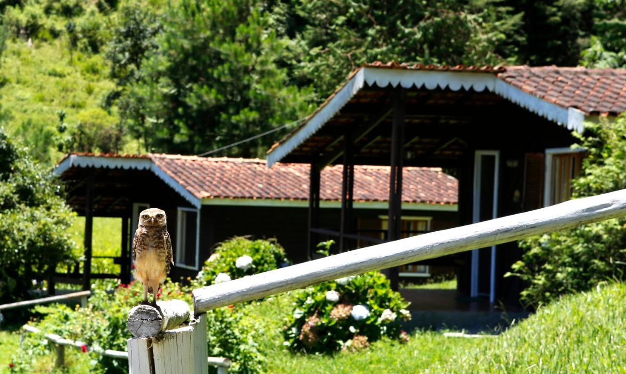 מונטה ורדה Hotel Fazenda Floresta Negra מראה חיצוני תמונה